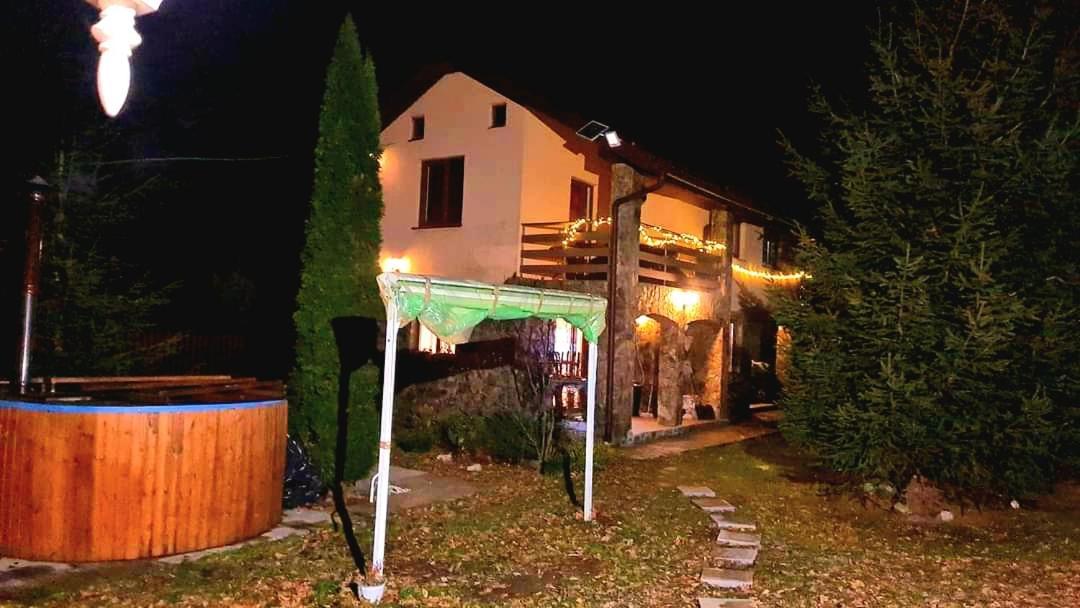 מלון Remeţi Casa Artemi מראה חיצוני תמונה